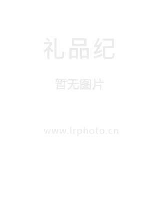 北京机械腕表系列B055201203S