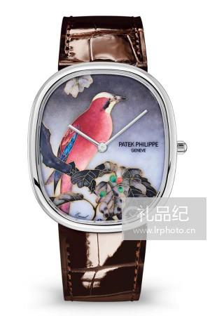 百达翡丽珍稀工艺系列5738/50G-011腕表