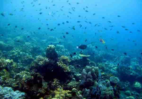 巴厘岛原住民的传统民俗与最具人气的潜水天堂